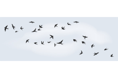 Flying birds silhouette. Flock of black marine birds, doves, seagulls