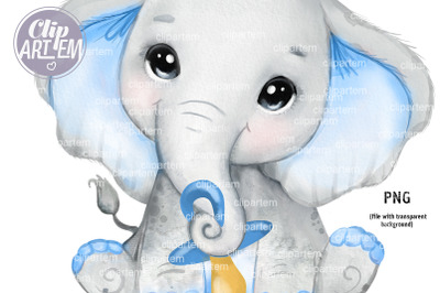 Pacifier Baby Boy Elephant with Dummy,  watercolor clip art