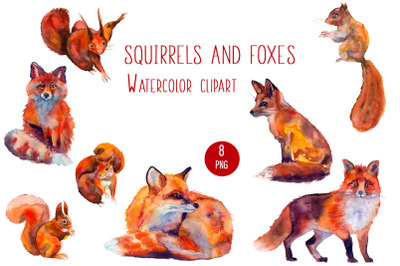 Squirrels and foxes watercolor Forest Clipart