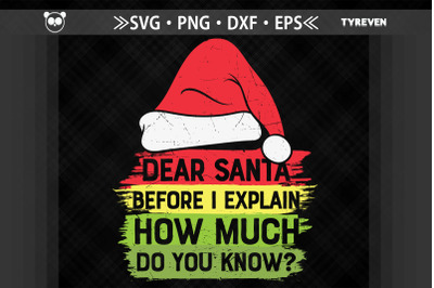 Funny Xmas Dear Santa Before I Explain