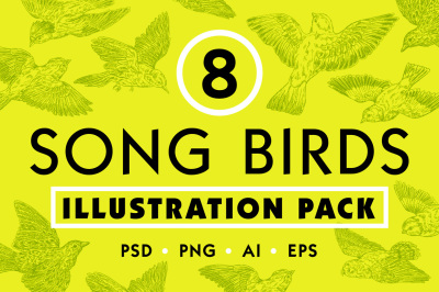 Hand Drawn Bird Illustration Pack
