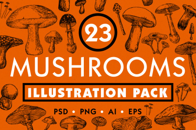 Mushroom Illustration Pack