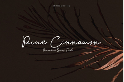 Pine Cinnamon