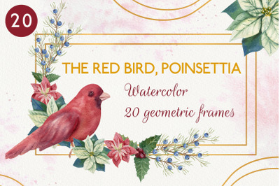 The red bird. Watercolor frames