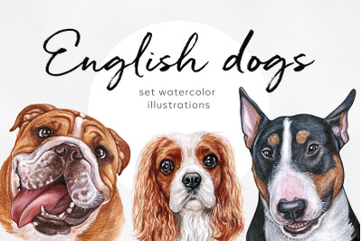 English dogs. Watercolor set 10 dogs breeds illustrations.