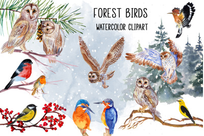 Watercolor Christmas clipart Winter birds