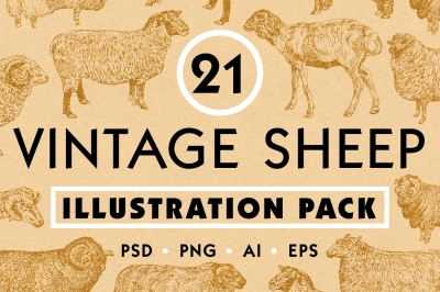 Vintage Sheep Illustration Pack