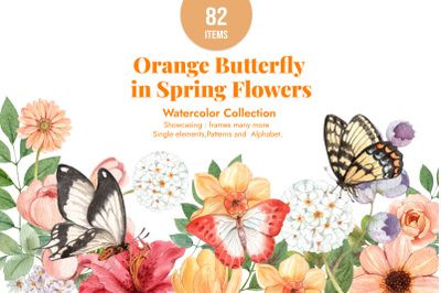 Orange Butterfly in Spring Flowers