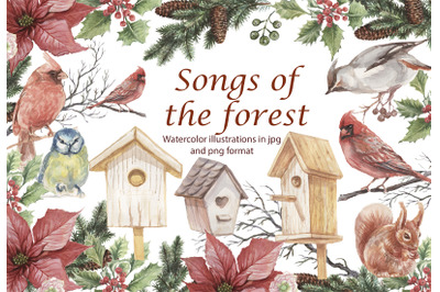 Songs of the forest