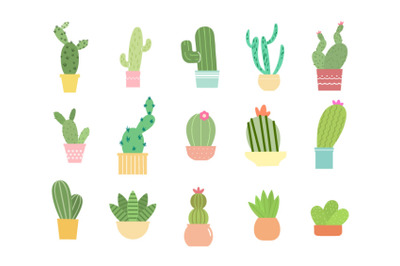 Hand drawn Cactus Collection