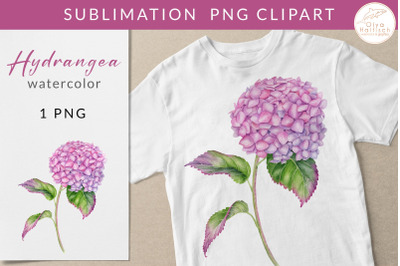 Watercolor Hydrangea Clipart. Pink Flower Sublimation PNG File