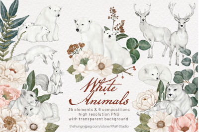 Wild Animals Watercolor Clipart Flowers Leaves