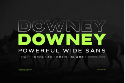 Downey - Powerful Wide Sans