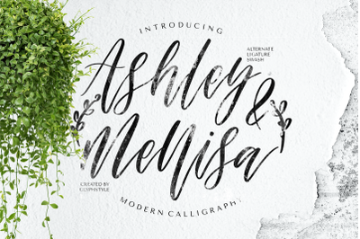 Ashley &amp; Mellisa Modern Calligraphy