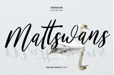 Mattswans Script Font