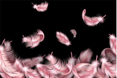 Pink feathers. Flying fluffy swan&2C; falling flamingo 3d wings feather&2C;