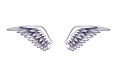 Wing hand drawn. Angel wings with feathers&2C; sketch style elements for