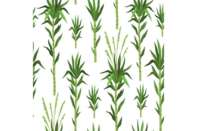 Seamless pattern bamboo tree. Sugarcane plant background, green cane s