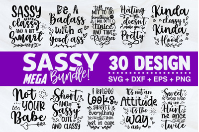 Sassy SVG Bundle, Sassy Quotes Svg, Sarcastic Svg
