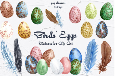 Birds&#039; Eggs Watercolor Clipart