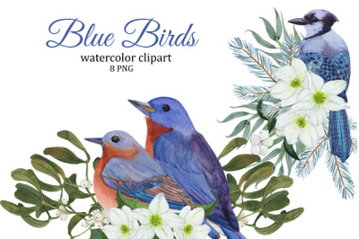 Blue Birds and winter bouquets, Christmas watercolor clipart PNG