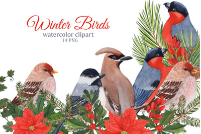 Winter birds watercolor clipart, Christmas PNG, winter greenery and pl