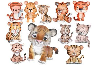 Set of tigers. Watercolor illustrations.