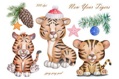 New Year Tigers. Watercolor illustrations.