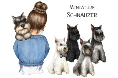 Miniature Schnauzer. Watercolor animal clipart, dog portrait, puppy.