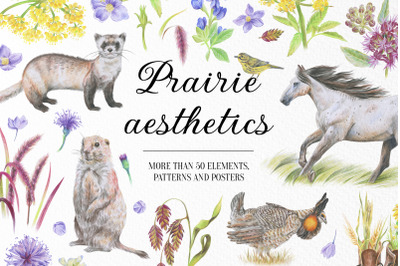 Prairie aesthetics. 52 items