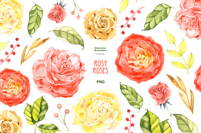 Watercolor blush rose PNG clipart