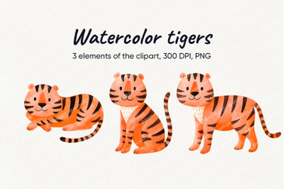 Watercolor orange tigers in three poses