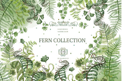 Watercolor Fern Collection