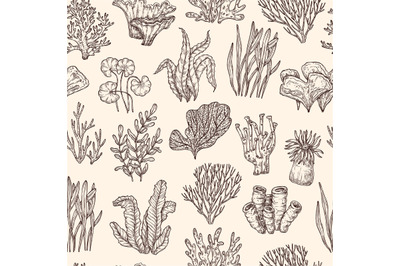 Seaweed pattern. Underwater life, seaweeds coral nautical background.