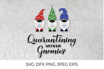 Quarantining with my gnomies. Funny  gnomes quote