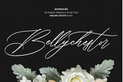 Bellychestor Elegant Signature Script Font