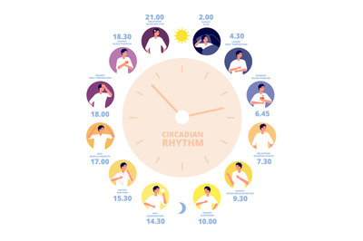 Circadian rhythm. Medical poster&2C; human brain hormone exposure. Health