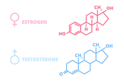 Sex hormones. Laboratory symbol, hormone estrogen testosterone chemica