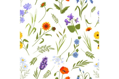 Meadow spring wild flowers and herbs seamless pattern. Vintage floral