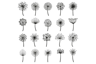 Fluffy dandelion&2C; blowball flowers floral decorative silhouettes. Dand