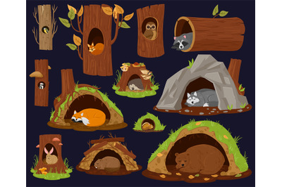 Cartoon woodland animals sleeping inside burrow, hollow, nest. Forest