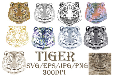 Tiger SVG, Tiger Face, Hunting tiger clipart, Png, Eps, SVG,