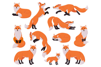 Cartoon foxes, forest red cute fox character. Woodland animal, forest