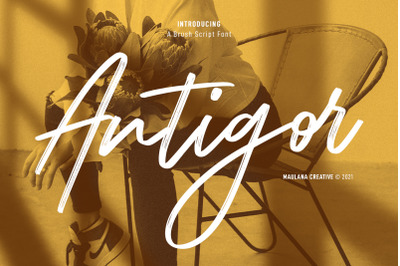 Antigor Brush Script Font