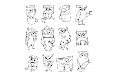 Owl characters. Funny wild night birds with cup of tea or coffee sleep