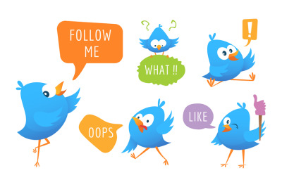 Blue bird messages. Cartoon animal with speech bubbles, social media c