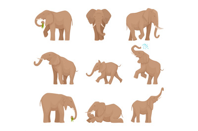 African large elephants. Big wild elephants exact vector pictures set