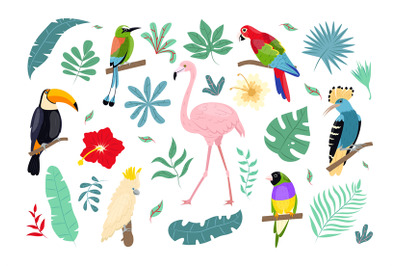 Tropical birds and plants. Jungle wildlife, caribbean flora and fauna,