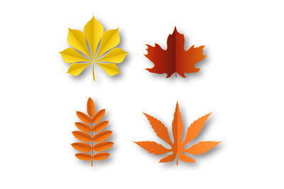 Paper leaves autumn. Fall colourful foliage beautiful nature decor iso