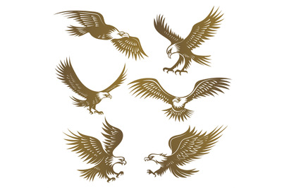 Eagles stylized. Flying wild freedom birds hawk recent vector emblems